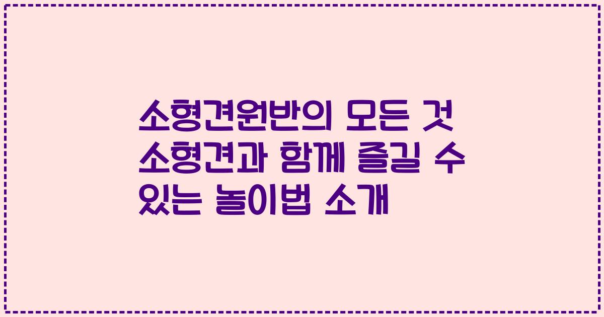 소형견원반의 모든 것 소형견과 함께 즐길 수 있는 놀이법 소개